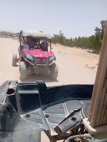 Family safari 